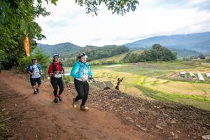 BIB: 1648, 1782
                            <button type="button" onclick="openModal(15998984)" class="btn btn-primary btn-sm float-right btn-popup" data-toggle="modal" data-target=".modal-high-quality">
                        <i class="fas fa-shopping-cart"></i> Add to Cart
                    </button>
                                            <button type="button" onclick="isThisMe(15998984, true)" class="btn btn-success btn-sm float-right btn-popup btn-isme hidden" data-toggle="tooltip" data-placement="bottom" title="นี่คือรูปของคุณใช่ไหม คลิกที่นี่เพื่อเอาเข้าอัลบั้ม">
                        <i class="fas fa-plus"></i> Add to album
                    </button>
                    <button type="button" onclick="isThisMe(15998984, false)" class="btn btn-warning btn-sm float-right btn-popup btn-isnotme hidden">
                        <i class="fas fa-ban"></i> Remove from album
                    </button>